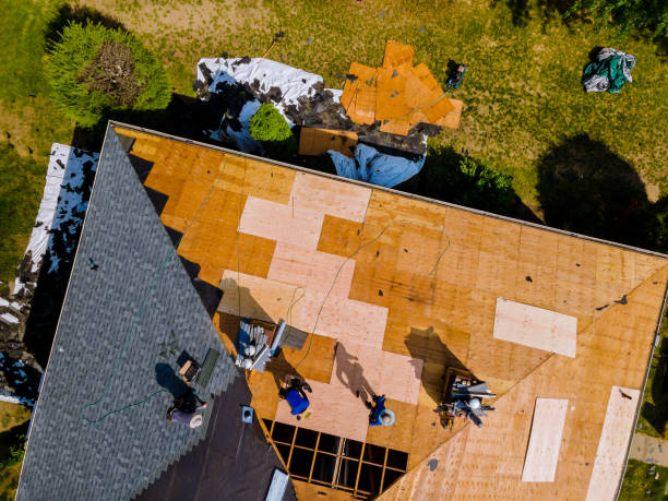 Roof Gutter Cleaning in Leisuretowne, NJ