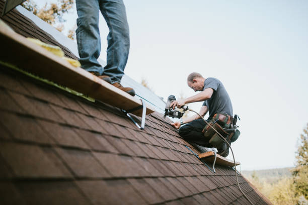 Best Roof Gutter Cleaning  in Leisuretowne, NJ